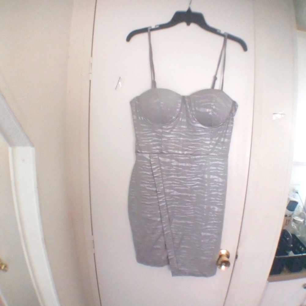 Silver Tiger Print Dress